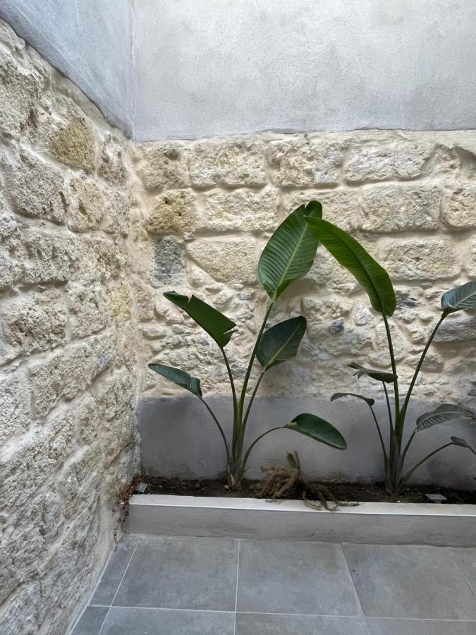 Maison Poissonnerie Le Grau-du-Roi Dış mekan fotoğraf